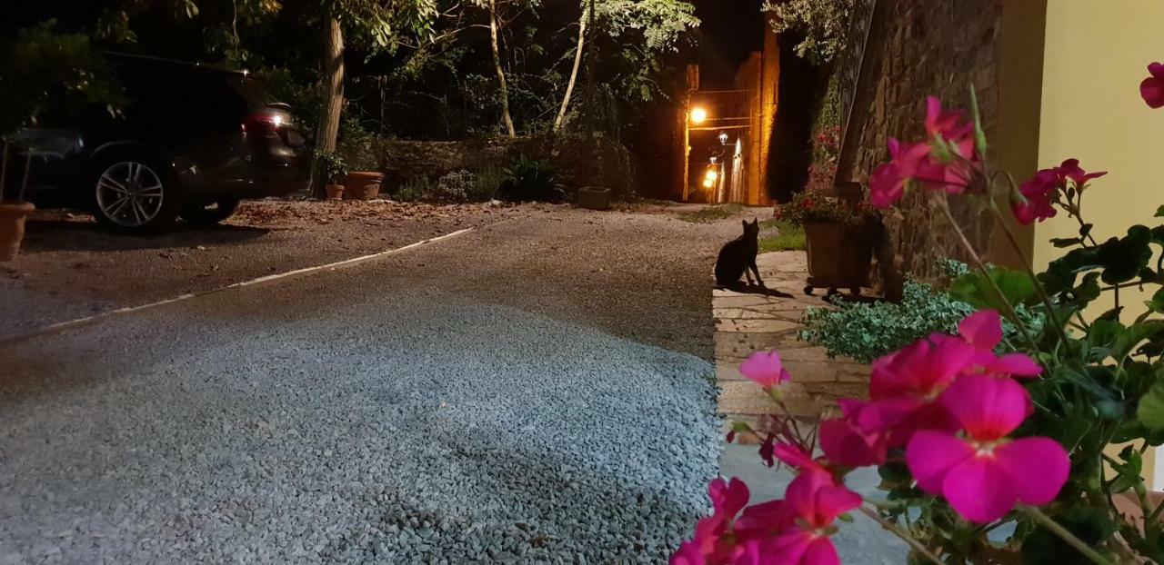 RigomagnoMansarda Degli Ulivi公寓 外观 照片